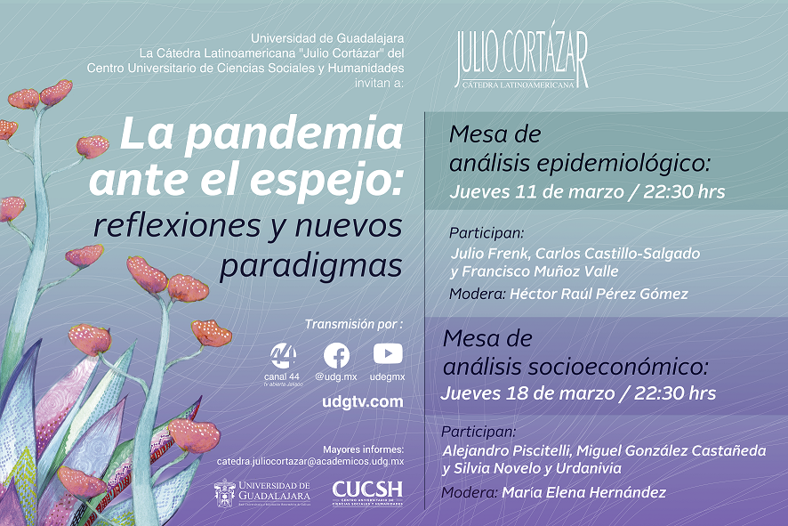 La pandemia ante el espejo: reflexiones y nuevos paradigmas | CÁTEDRA  LATINOAMERICANA JULIO CORTÁZAR